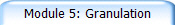 Module 5: Granulation