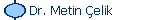 Dr. Metin Çelik